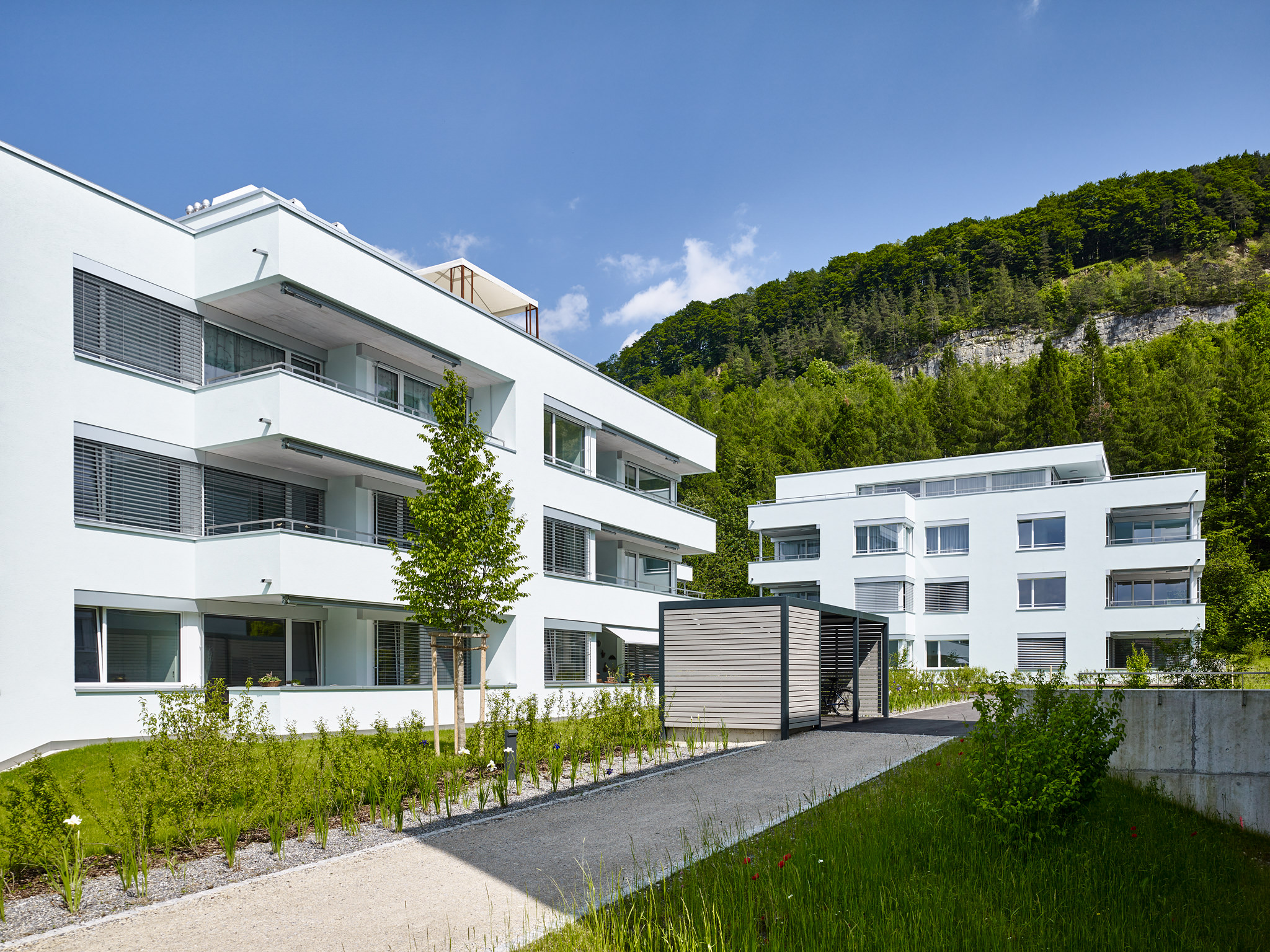 E15551 Alpa 051150 SCREEN